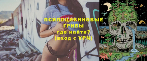 прущие крисы Абинск