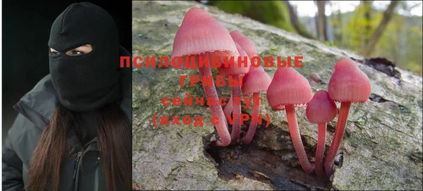 прущие крисы Абинск
