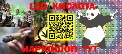 Альфа ПВП Ставрополь
