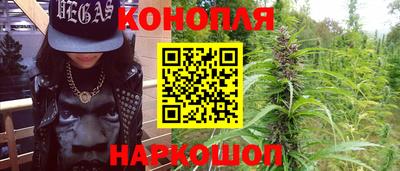 Альфа ПВП Ставрополь