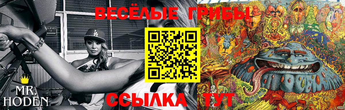 Галлюциногенные грибы ЛСД  Вход с VPN  Саянск  наркошоп  Галлюциногенные грибы Magic Shrooms 